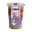 Soba Salad with Soba Dressing